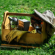 Beekeeping Tools 101