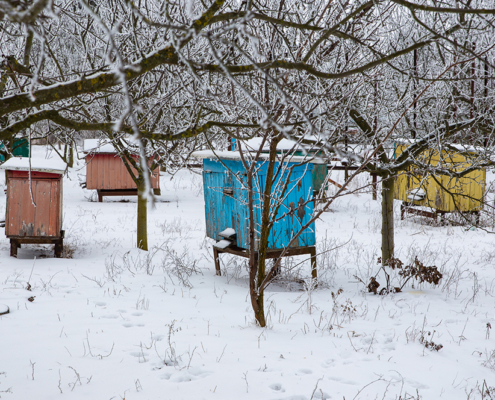 Winter survival