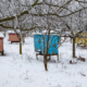 Winter survival