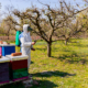 Minimizing Pesticide Use