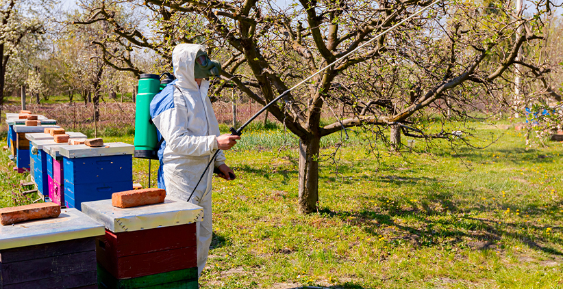 Minimizing Pesticide Use