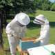 Splitting hives