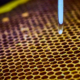 Investing in Bee Research