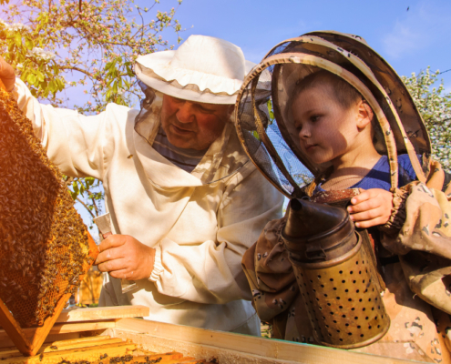 children and bees