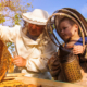 children and bees